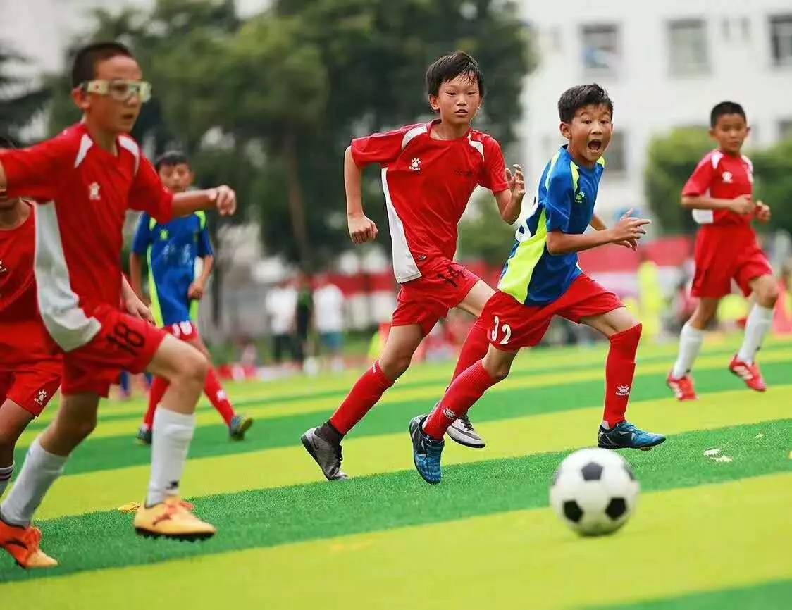 北京冬奥会高山滑雪国家队教练组成员张智伟认为